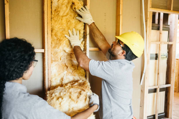 Types of Insulation We Offer in Douglass Hills, KY